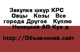 Закупка шкур КРС , Овцы , Козы - Все города Другое » Куплю   . Ненецкий АО,Куя д.